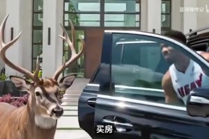 博洛尼亚vs那不勒斯在线观看完整免费高清_博洛尼亚vs那不勒斯全场视频回放_博洛尼亚vs那不勒斯录像回放字母哥迈阿密豪宅曝光！1350万砍到“友情价”，对面是希罗家
